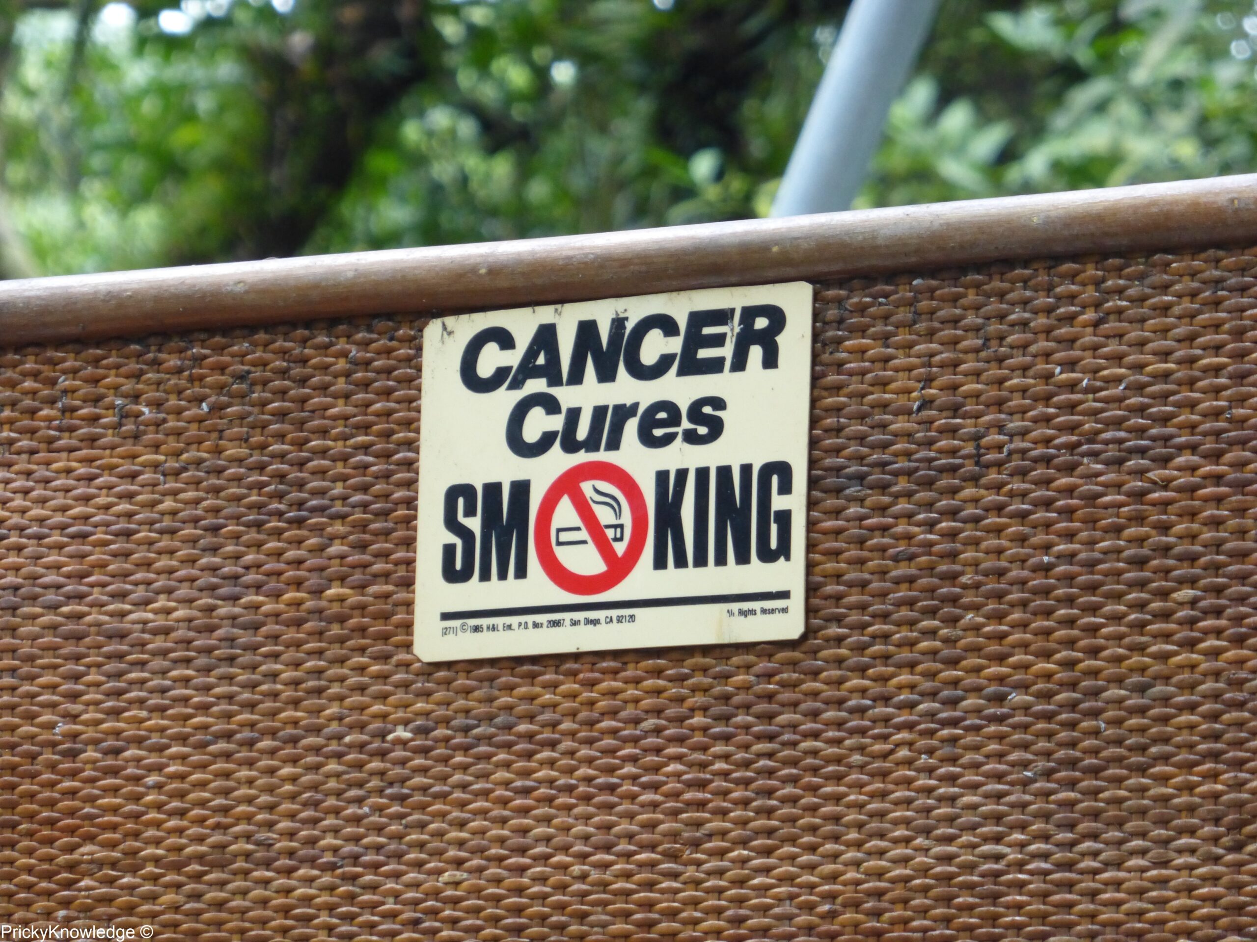 Cancer cures smoking